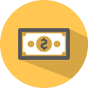 dollar icon